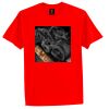 Stedman Classic Tee Thumbnail